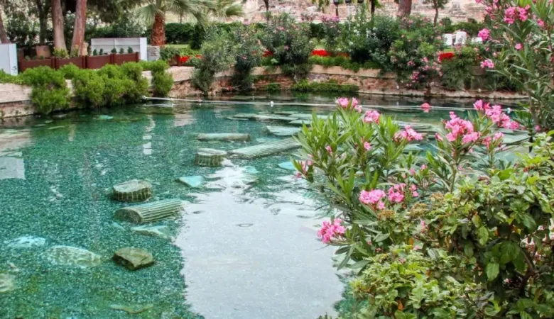 Comment entretenir une piscine naturelle ? 