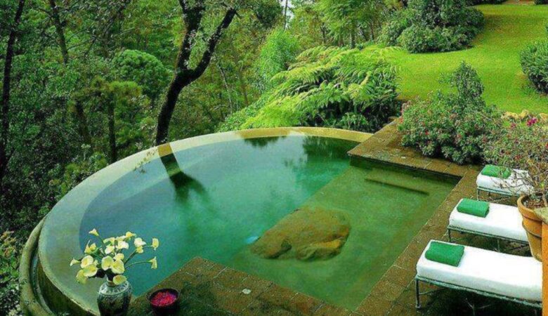 Nos piscines naturelles