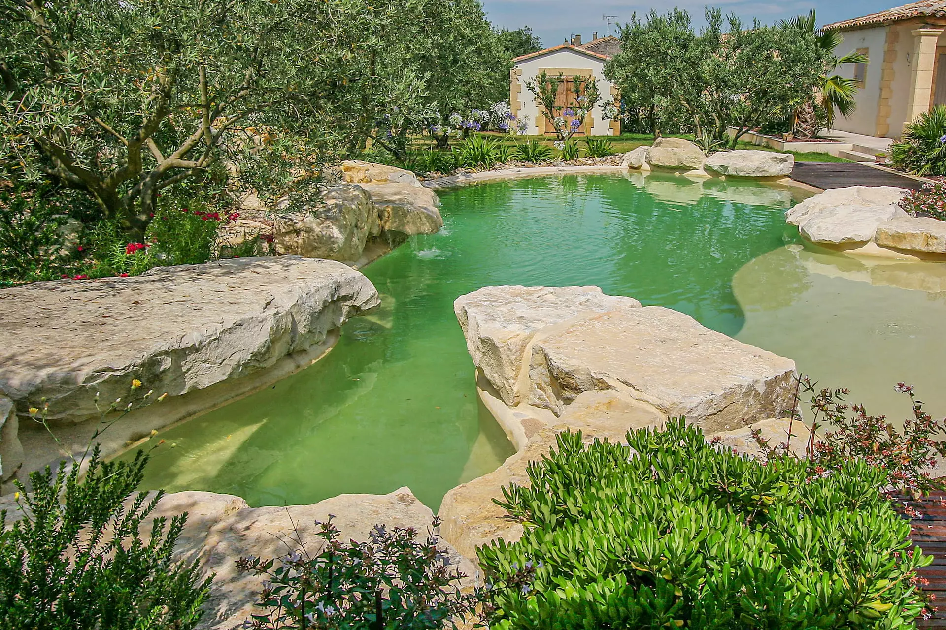 Piscine-nature-lagon©DIFFAZUR-23